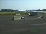 Skatepark Insula