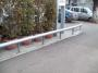 Flat Rail Mandarinei